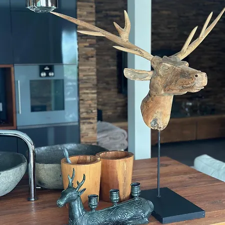 Pfaendertraum Luxus * لوشاو باي بيرغنز